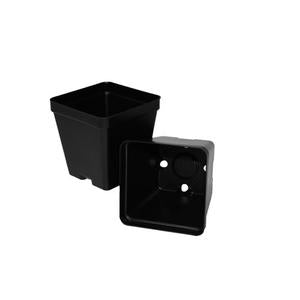 Square Pots- 20pk