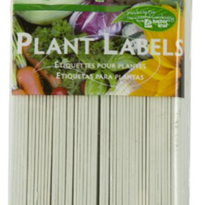 Plant Labels 6"- 50pk