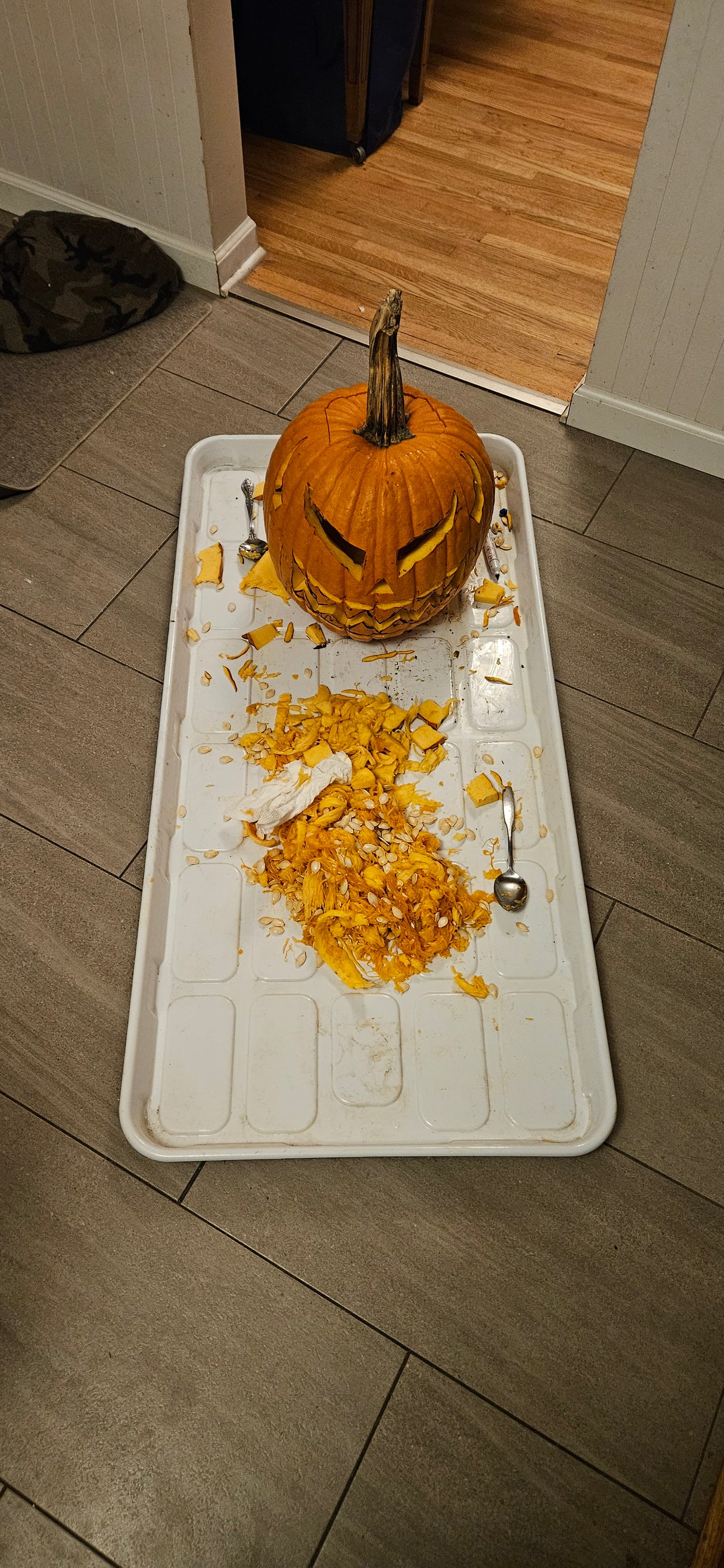 Grow Tray- Large 2x4ft