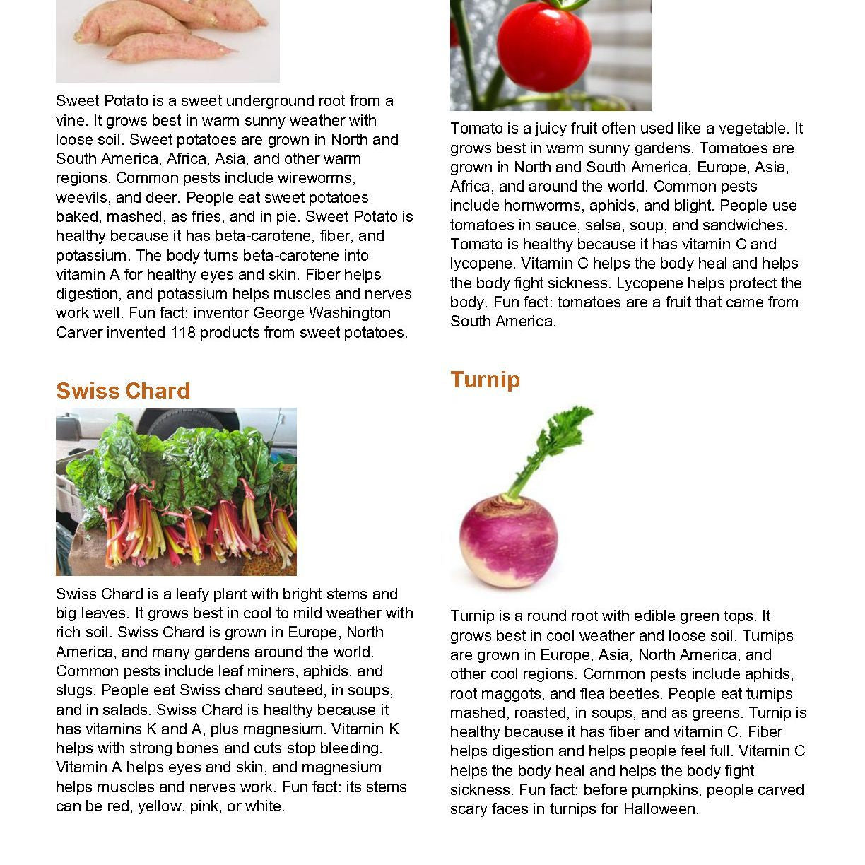 Plant Report Project Worksheet | Digital Download