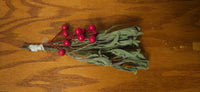 Sage Tea Recipe