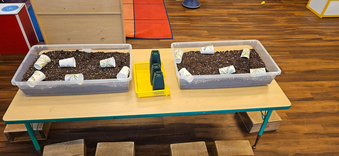 Our First Greenbridge Grow Tent Daycare Pilot Program