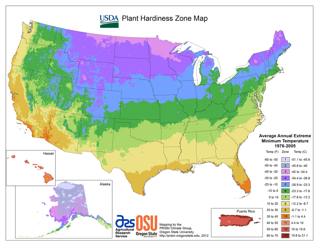 USA Growing Zones for Vegetables: A Guide for Gardeners