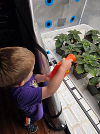 Introducing Tiny Green Thumbs: A New Edible Garden Opportunity for CACFP Centers in Minnesota