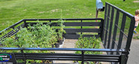 Giving Back to the Community- Frogtown Farm Donation