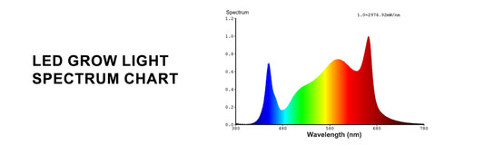 Shedding Light on Plant Growth- Choosing the Right Lighting