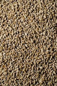 Favorite Seed Companies