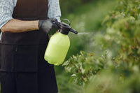 Salicylic Acid Foliar Spray: Activate the Natural Defense System for More Resilient Plants