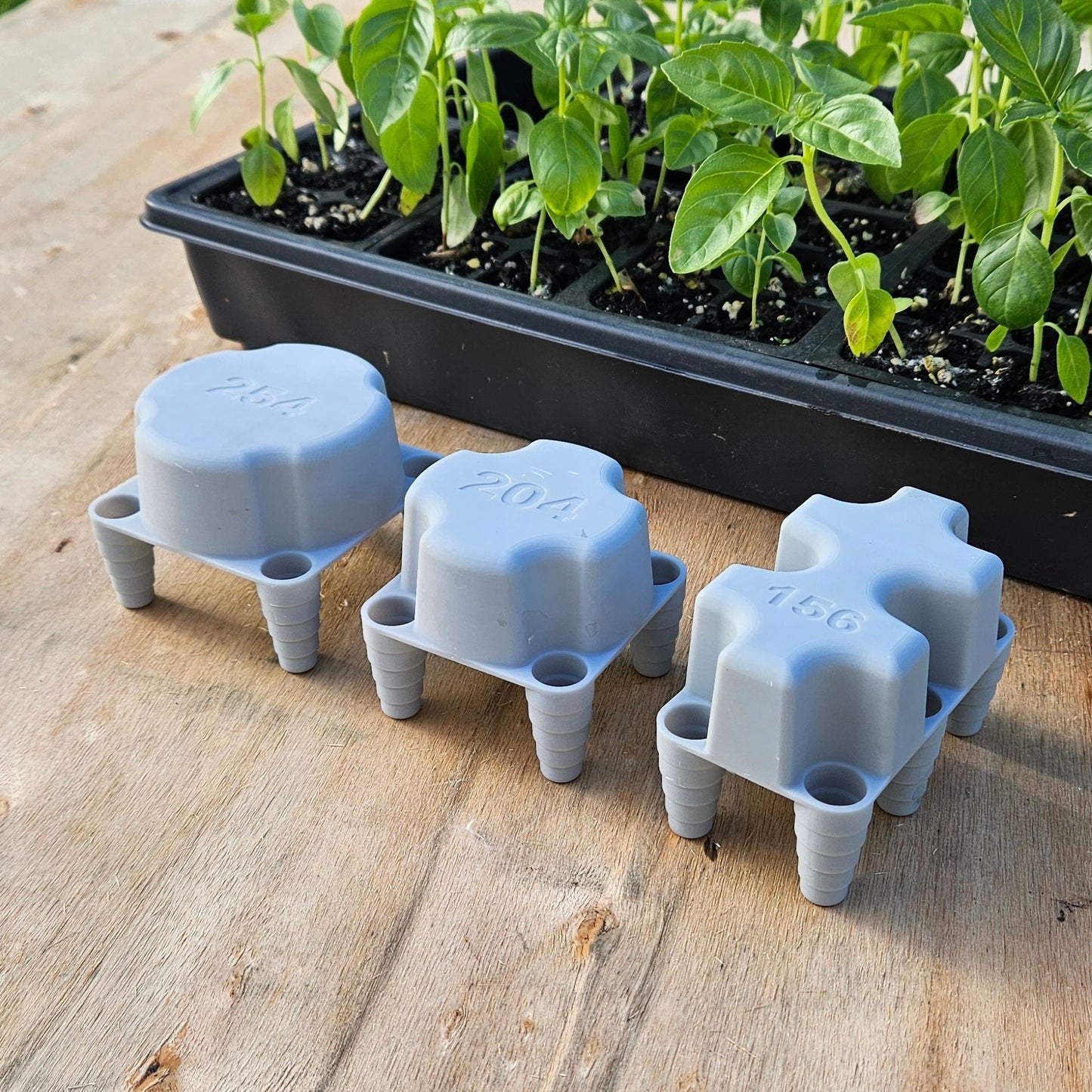 3 sizes dibber tool seed plant set