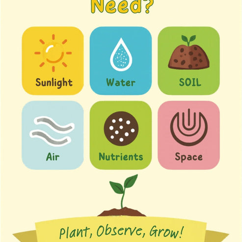 What Do Plants Need? — K–2 Classroom Poster | Digital Download