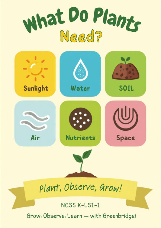What Do Plants Need? — K–2 Classroom Poster | Digital Download