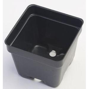 Square Pots- 20pk