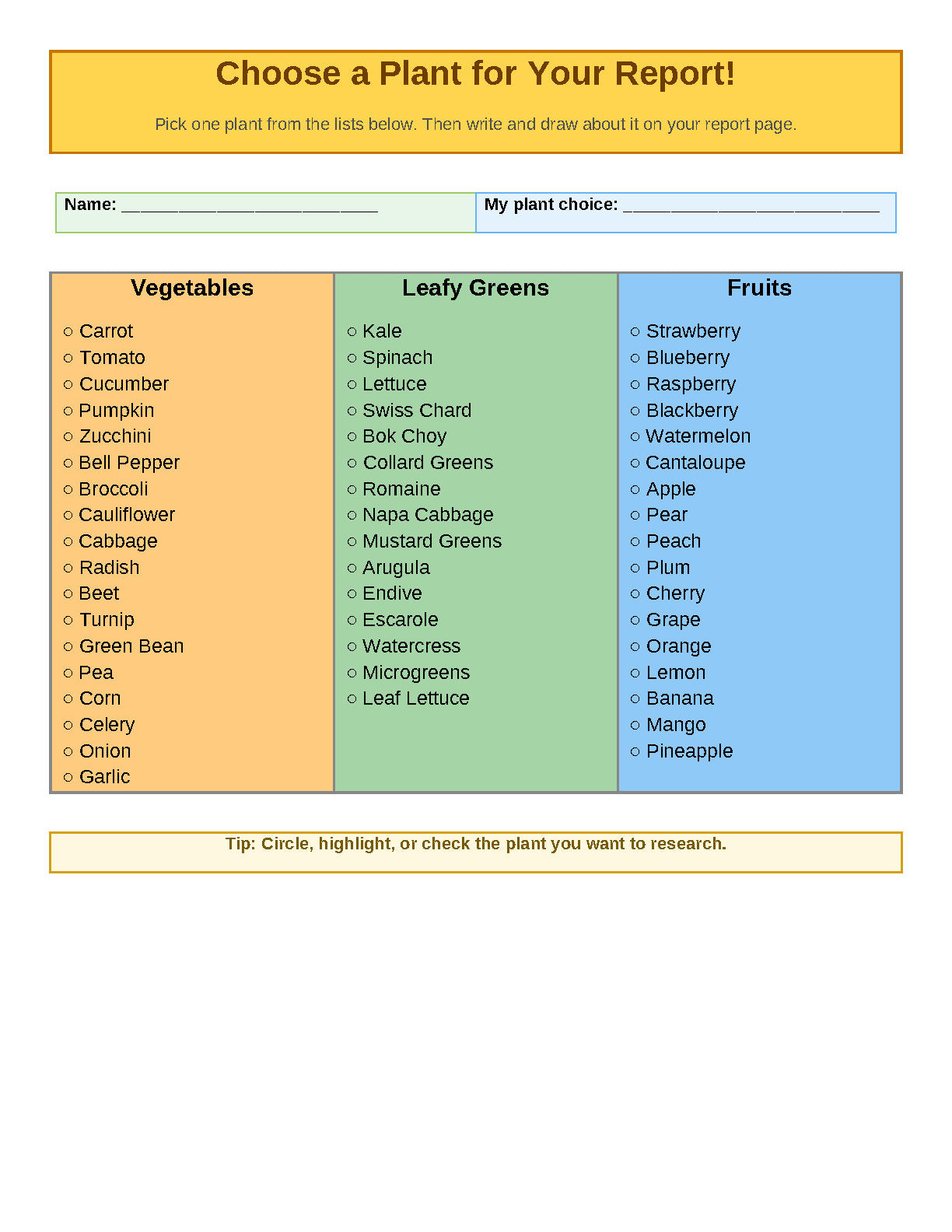 Plant Report Project Worksheet | Digital Download