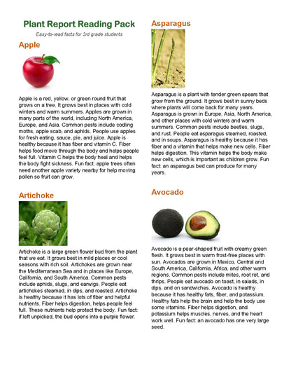 Plant Report Project Worksheet | Digital Download